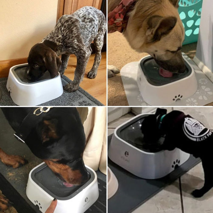 Anti-Spill Dog Bowl